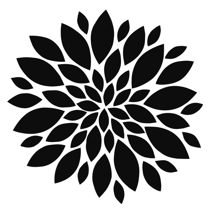Dahlia Phoenix